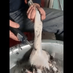 0109.gif__PID:48610e09-b60a-428d-baba-1c1f47566e04