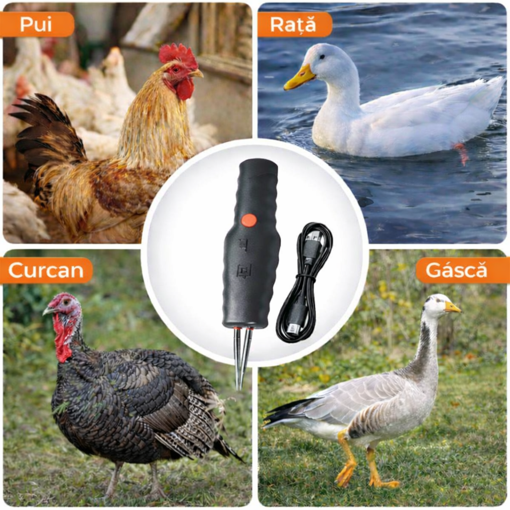 aplicabilitatti multiple.png__PID:ed35769b-ce61-4b50-9777-4a862c4312a9